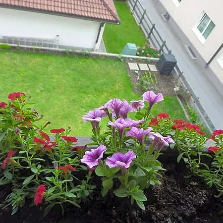Zu Hause Bed & Breakfast 3*